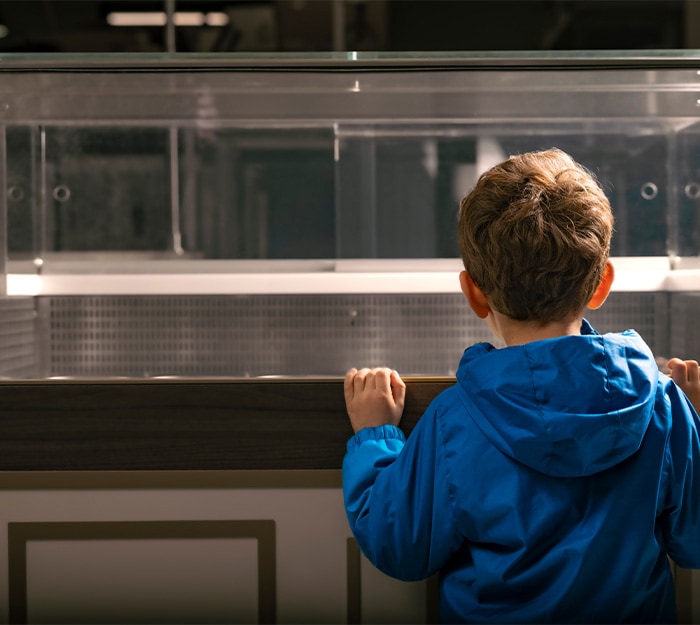 Ergonomics and Inclusion at the Core